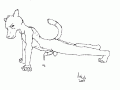 weaselpose.gif